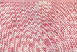 �����W���L��